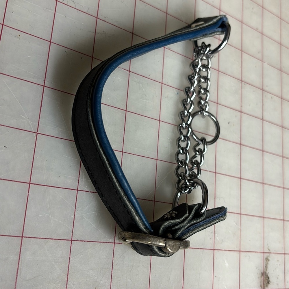Martingale dog collar- custom listing for Deb!